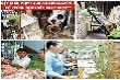 Chỉ đạo, điều hành của Chính phủ, Thủ tướng Chính phủ nổi bật tuần 7-11/9/2015